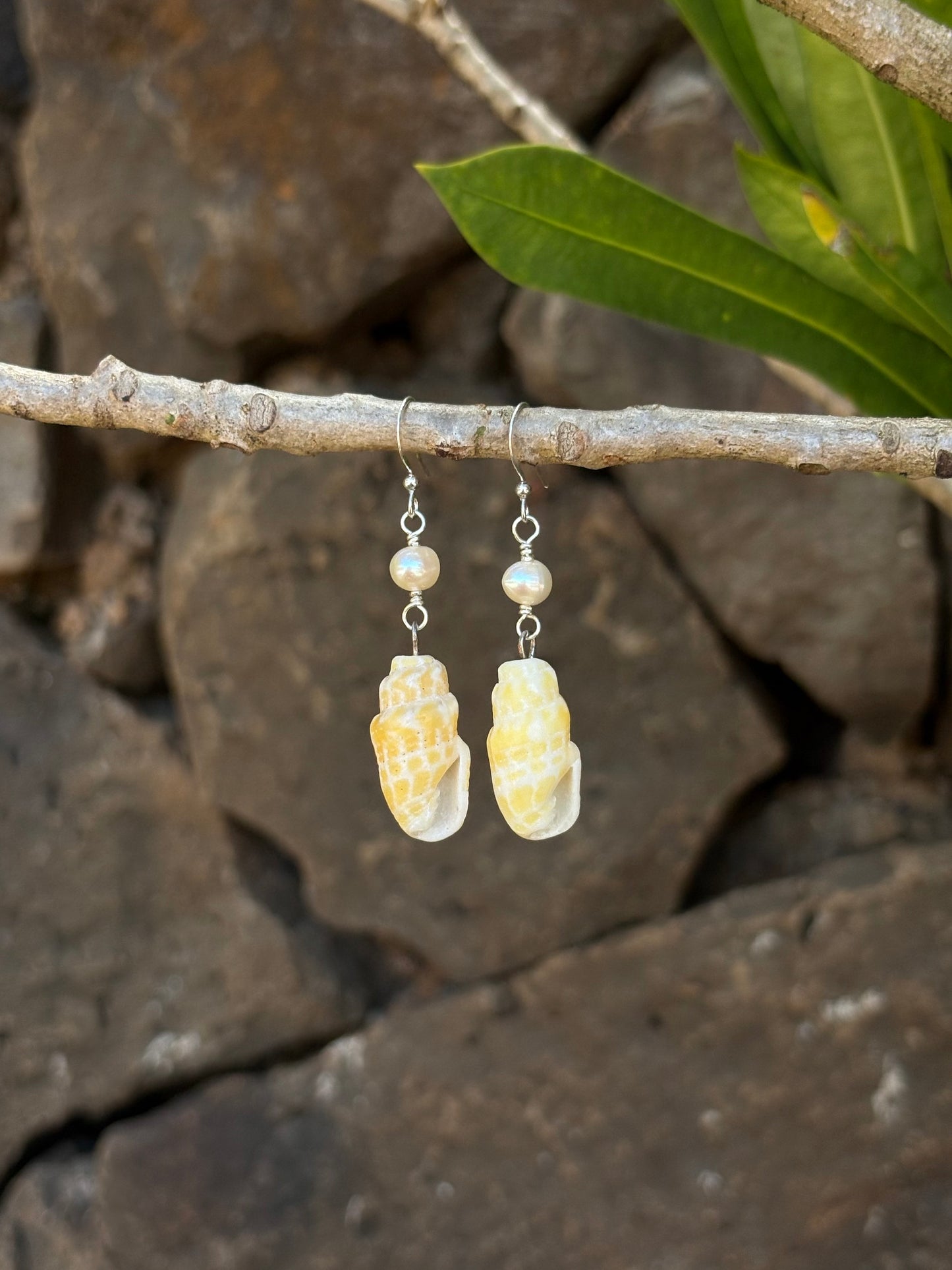 golden miter pearl earrings