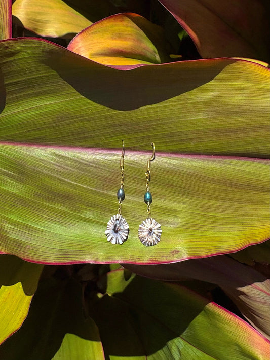 opihi shell earrings