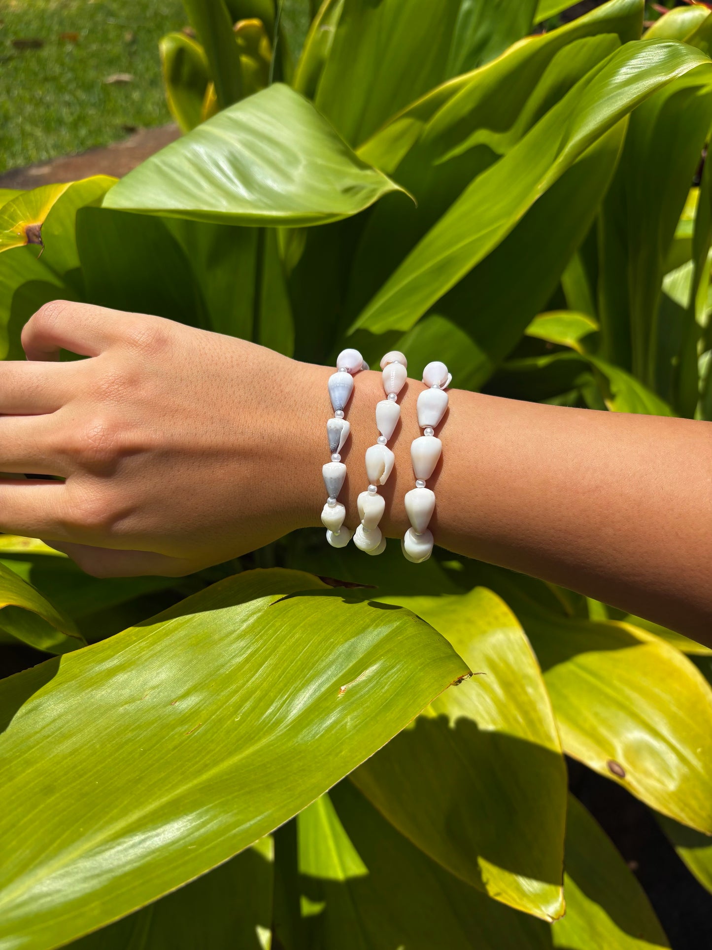 baby cone shell bracelets