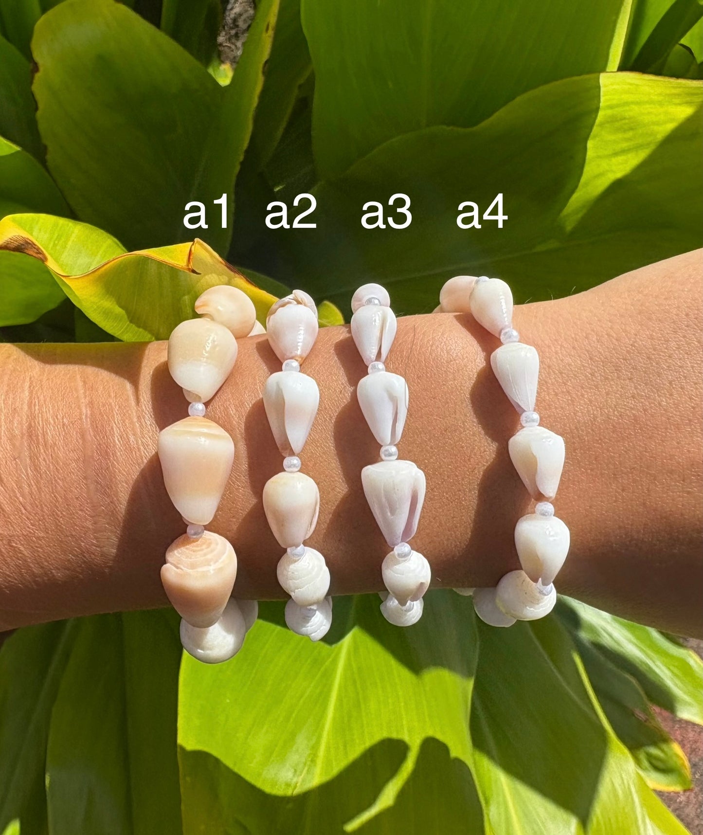 baby cone shell bracelets