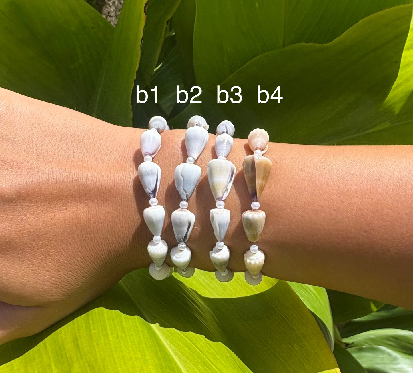 baby cone shell bracelets
