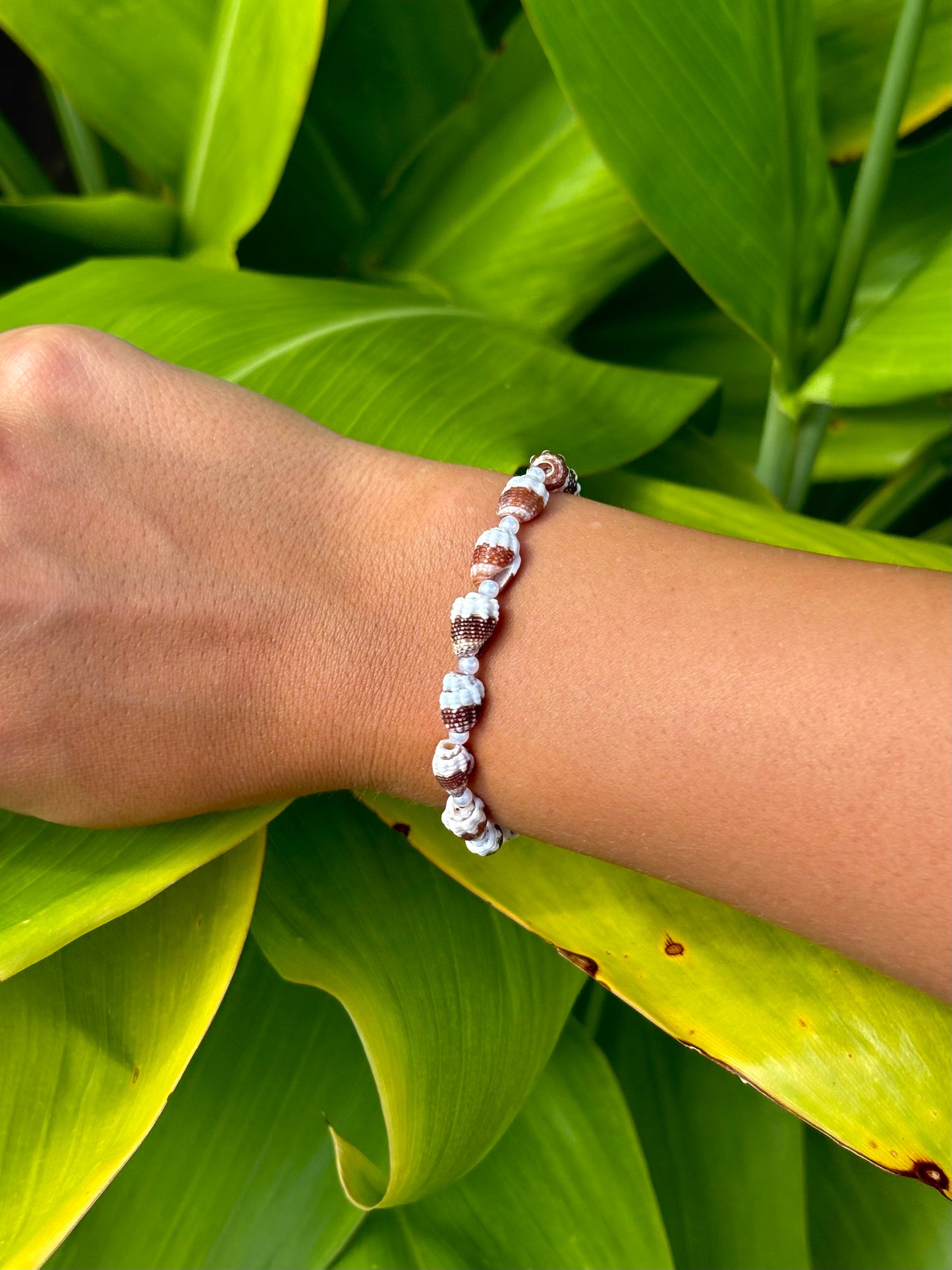 mitre shell bracelet