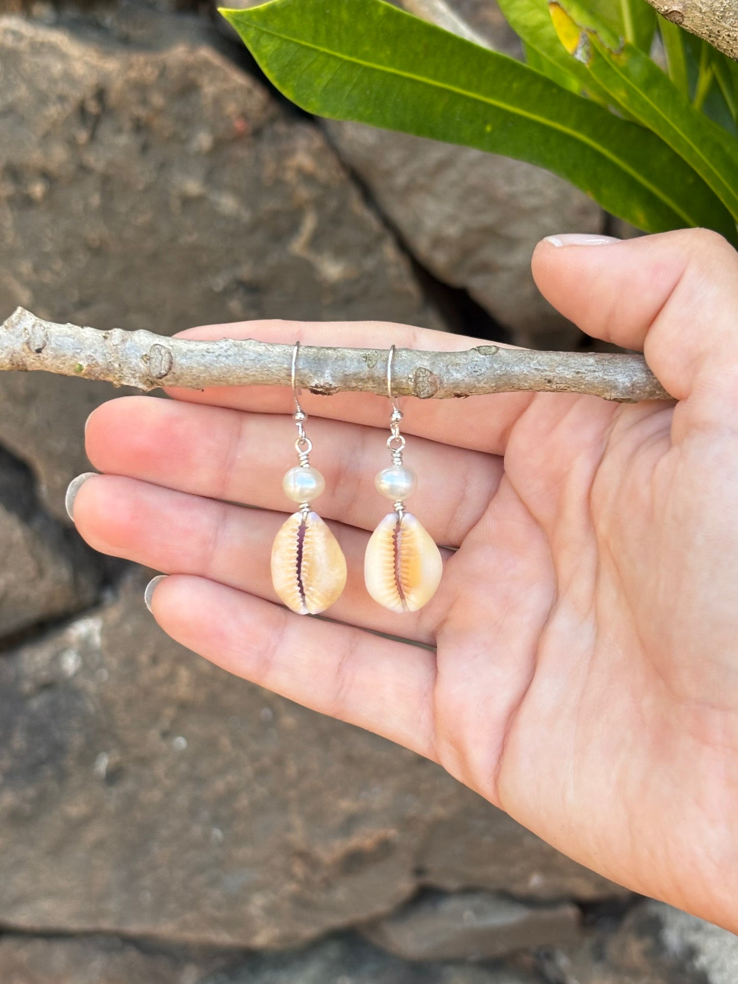 cowrie pearl earrings