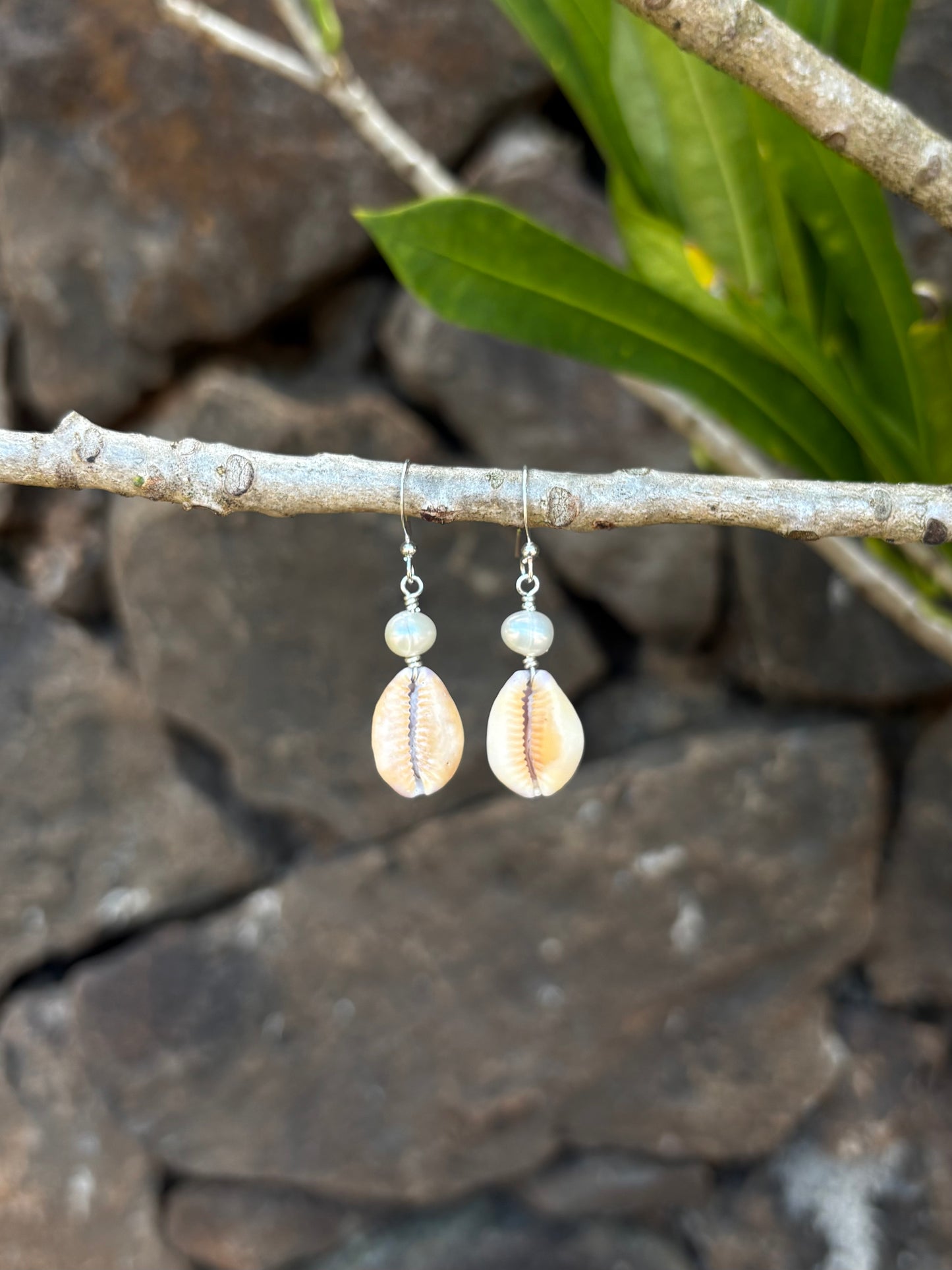 cowrie pearl earrings
